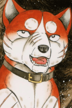 Riki